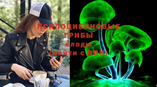 соль ск Алексин