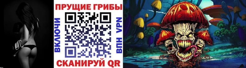 МЕГА маркетплейс купить Бронницы Галлюциногенные грибы Psilocybine cubensis