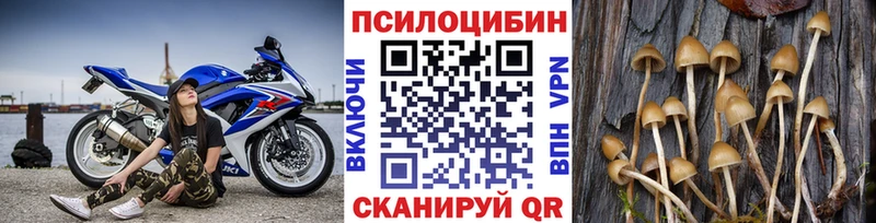 Псилоцибиновые грибы MAGIC MUSHROOMS Бронницы